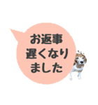ビーグル犬の吹き出しスタンプ（個別スタンプ：16）