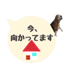 ビーグル犬の吹き出しスタンプ（個別スタンプ：21）