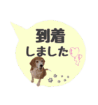 ビーグル犬の吹き出しスタンプ（個別スタンプ：22）
