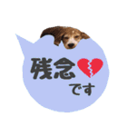 ビーグル犬の吹き出しスタンプ（個別スタンプ：28）