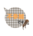 ビーグル犬の吹き出しスタンプ（個別スタンプ：32）