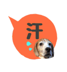 ビーグル犬の吹き出しスタンプ（個別スタンプ：35）