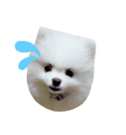 こたンプ（個別スタンプ：3）