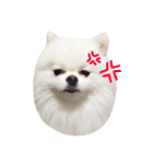 こたンプ（個別スタンプ：7）