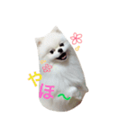 こたンプ（個別スタンプ：9）