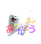こたンプ（個別スタンプ：11）