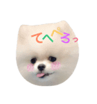 こたンプ（個別スタンプ：14）