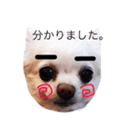 MY SWEET ANGEL'S（個別スタンプ：7）
