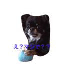 MY SWEET ANGEL'S（個別スタンプ：8）