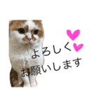 うちのキングさん♡（個別スタンプ：2）
