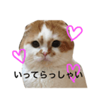 うちのキングさん♡（個別スタンプ：7）
