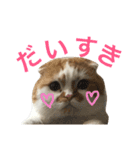 うちのキングさん♡（個別スタンプ：15）