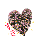 花のテレくさいけどゆっちゃうシリーズ（個別スタンプ：2）