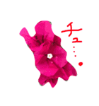 花のテレくさいけどゆっちゃうシリーズ（個別スタンプ：3）