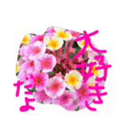 花のテレくさいけどゆっちゃうシリーズ（個別スタンプ：8）