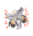 花のテレくさいけどゆっちゃうシリーズ（個別スタンプ：13）