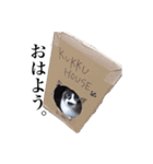猫_くっく（個別スタンプ：5）