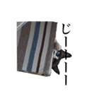 猫_くっく（個別スタンプ：9）