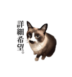 猫_くっく（個別スタンプ：14）