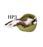 猫_くっく（個別スタンプ：15）
