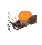 猫_くっく（個別スタンプ：23）