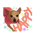 Bell's stamp！（個別スタンプ：3）