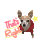 Bell's stamp！（個別スタンプ：5）