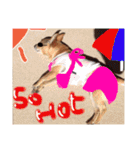Bell's stamp！（個別スタンプ：10）