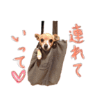 Bell's stamp！（個別スタンプ：15）