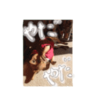 Bell's stamp！（個別スタンプ：17）