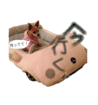 Bell's stamp！（個別スタンプ：18）