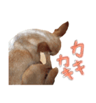 Bell's stamp！（個別スタンプ：19）
