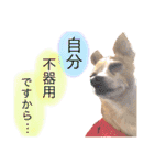 Bell's stamp！（個別スタンプ：22）