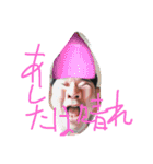 syougunyukkeySTORE（個別スタンプ：19）