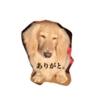 ぷりたん♡（個別スタンプ：10）