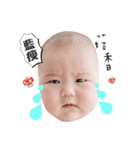 shan baby's life（個別スタンプ：10）