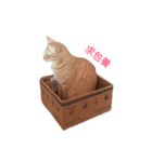 Poky's Day（個別スタンプ：1）
