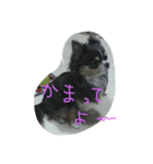あめとまめ（個別スタンプ：5）