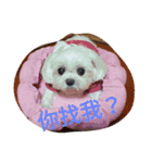 Missing by she（個別スタンプ：4）