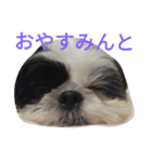 みんとだぁよ～（個別スタンプ：1）