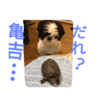 みんとだぁよ～（個別スタンプ：3）