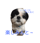 みんとだぁよ～（個別スタンプ：4）