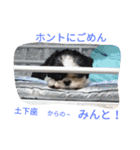 みんとだぁよ～（個別スタンプ：5）