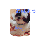 みんとだぁよ～（個別スタンプ：6）