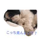みんとだぁよ～（個別スタンプ：7）