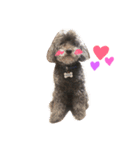 水本ココちゃん（個別スタンプ：1）