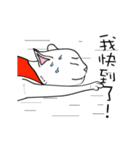 White cat Tiles and he's friends（個別スタンプ：12）