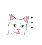 White cat Tiles and he's friends（個別スタンプ：18）