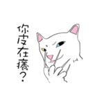 White cat Tiles and he's friends（個別スタンプ：19）