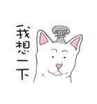 White cat Tiles and he's friends（個別スタンプ：22）